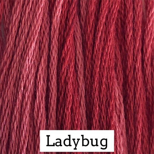 CCW Ladybug