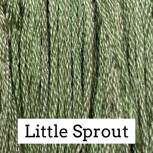 CCW Little Sprout