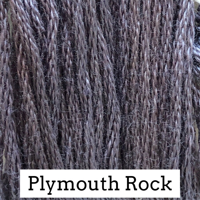 CCW Plymouth Rock