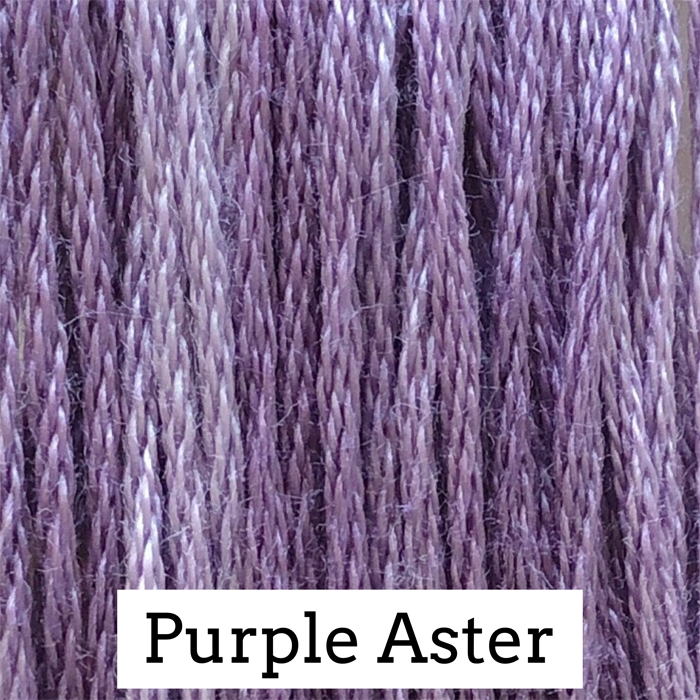 CCW Purple Aster