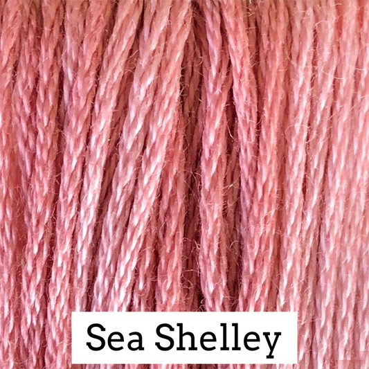 CCW Sea Shelley